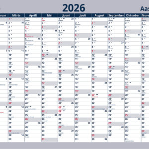 Seinaplakat AASTAPLAAN 700*500mm