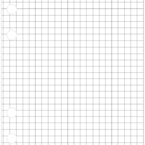 Compact-A6 ruudulised lehed (30tk)