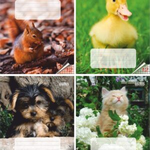 Vihik 12 lehte ruut Osiris, loomapildid