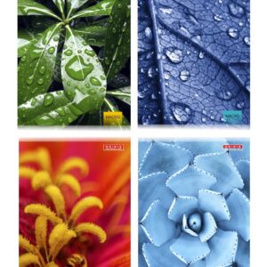 Kontoriraamat A5 96 lehte ruut Osiris MACRO