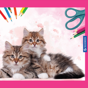 Joonistusplokk A4 120 g, 20 lehte – kiisu