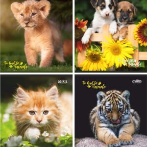 Kaustik A5 48 lehte ruut, BE KIND TO ANIMALS