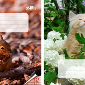 Vihik 12 lehte, 5×5 ruut Osiris