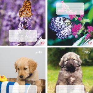 Vihik 12 lehte 22 joont, liblikas, koer