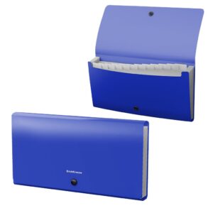 Lõõtsmapp C65 Matt Classic,12 taskut, sinine