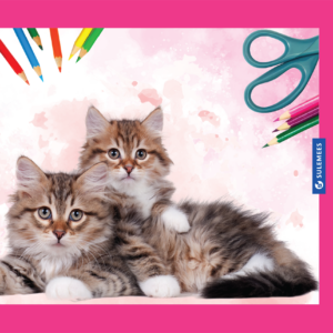 Joonistusplokk A3 120 g, 20 lehte – kiisu