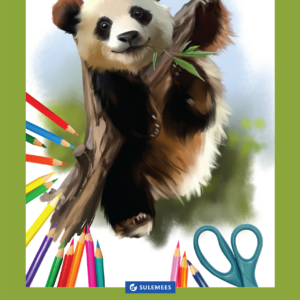 Joonistusplokk A3 120 g, 20 lehte – panda