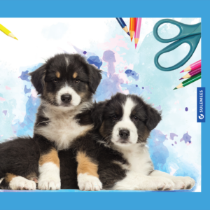 Joonistusplokk A3 120 g, 20 lehte – kutsu