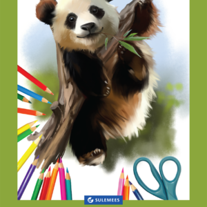 Joonistusplokk A4 120 g, 20 lehte – panda