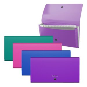 Lõõtsmapp C65 Matt Vivid, 12 taskut, assortii