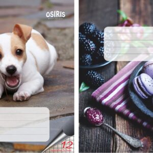 Vihik 12 lehte, 5×5 ruut Osiris