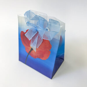 Kinkekott Moon 12 x 10cm