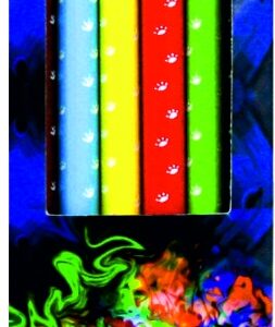 Värvipliiatsid 6 värvi OSIRIS