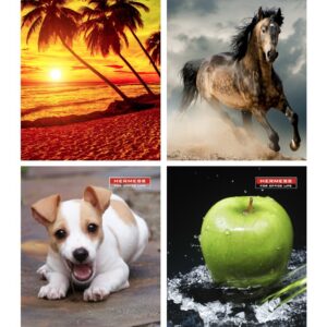 Märkmik A6 96 lehte ruut Osiris, kõva kaas