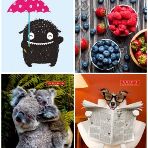 Märkmik A7 96 lehte ruut Osiris, kõva kaas