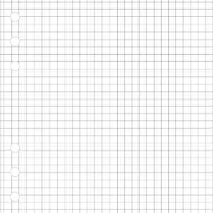 Manager-A5 (70mm) ruudulised lehed (30tk)